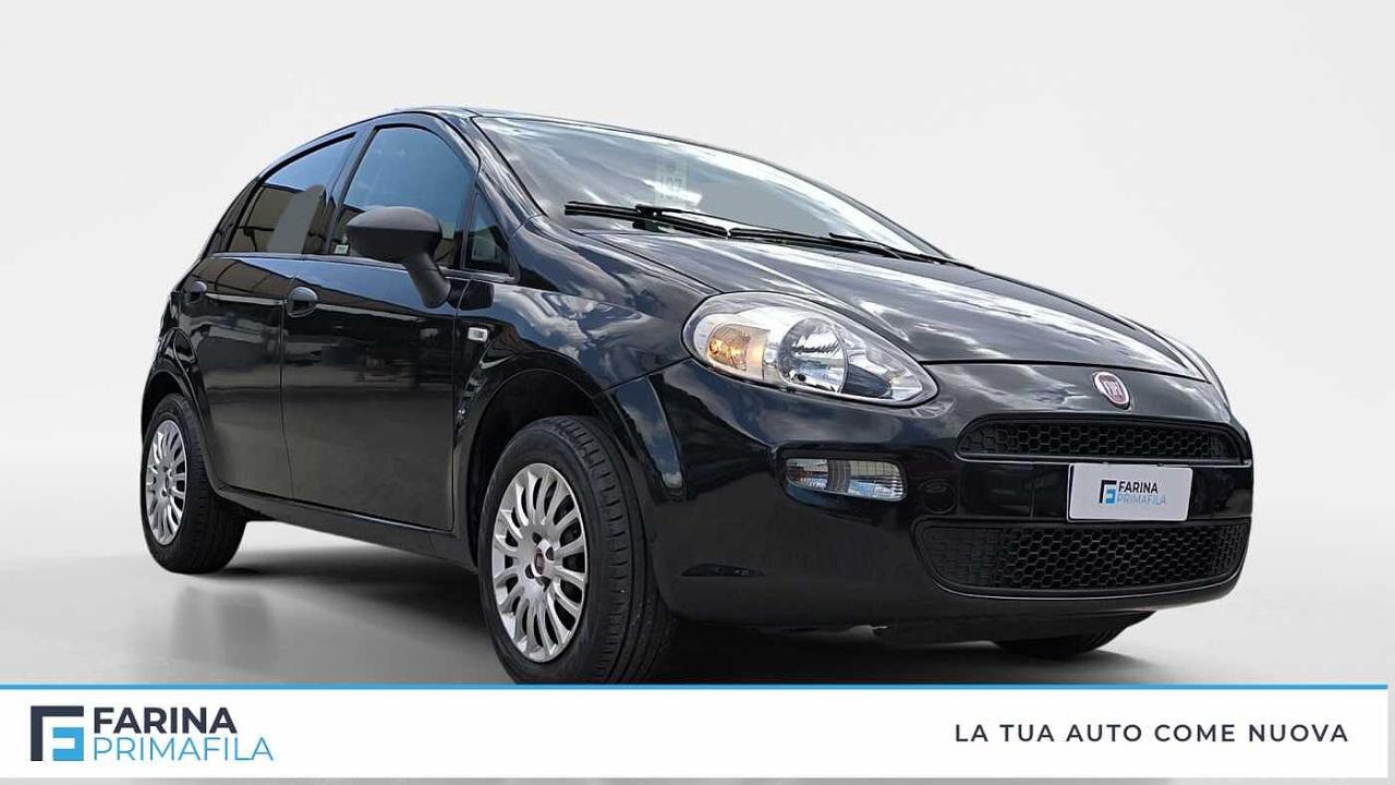 Fiat Fiat Punto usata 11