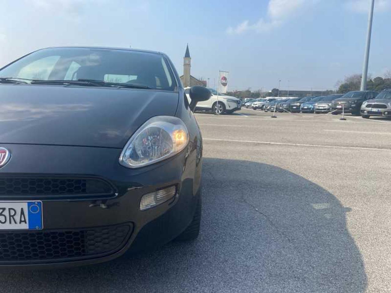 Fiat Fiat Punto usata 13
