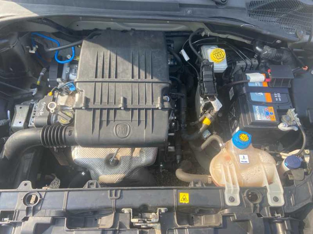 Fiat Fiat Punto usata 14