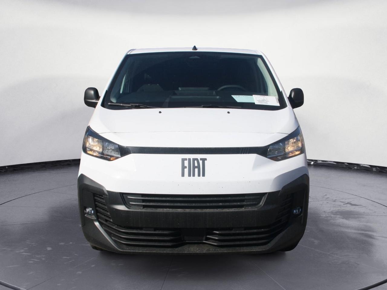 Fiat Fiat Scudo usata 14