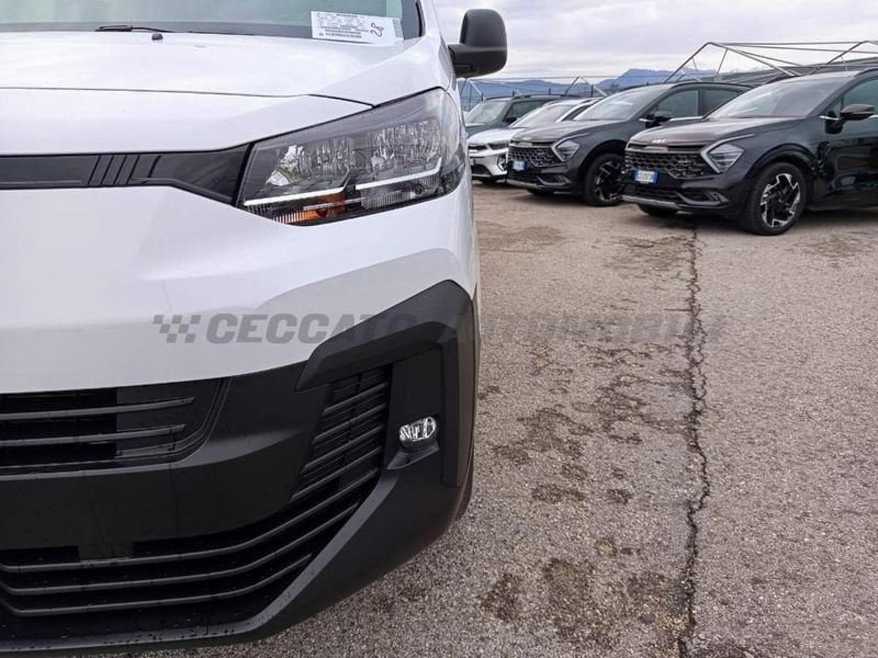 Fiat Fiat Scudo usata 9