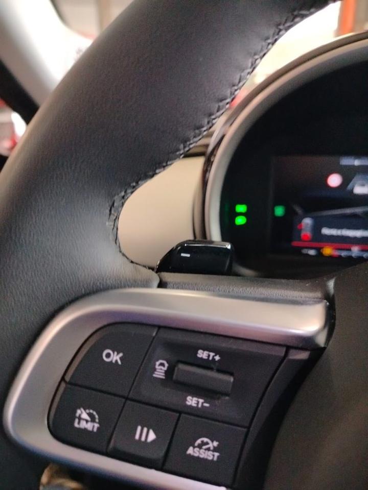 Fiat Fiat 600 usata 21