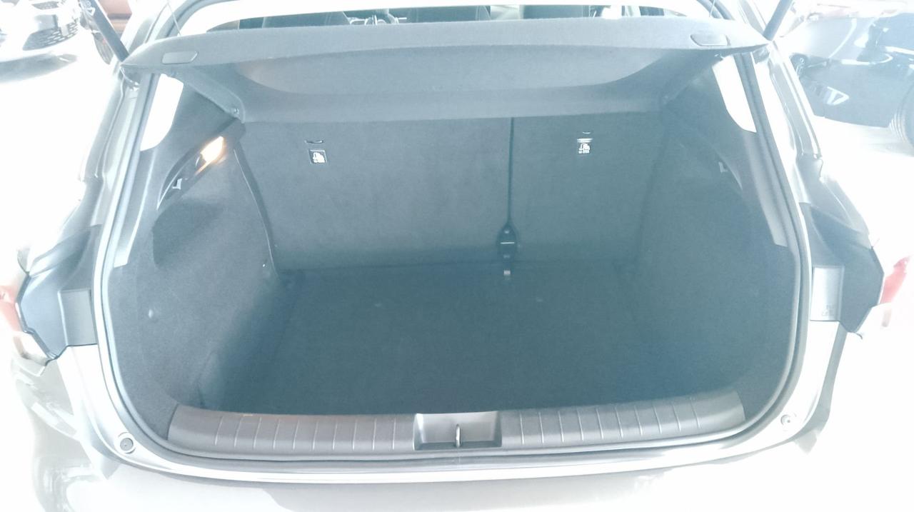 Fiat Fiat Tipo usata 14