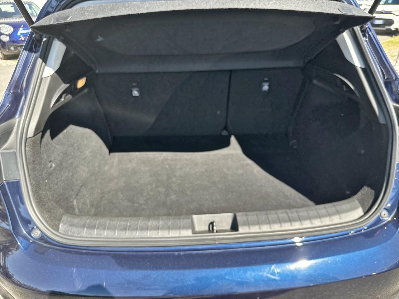 Fiat Fiat Tipo usata 18