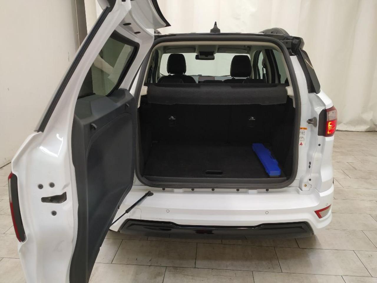Ford Ford Ecosport usata 13