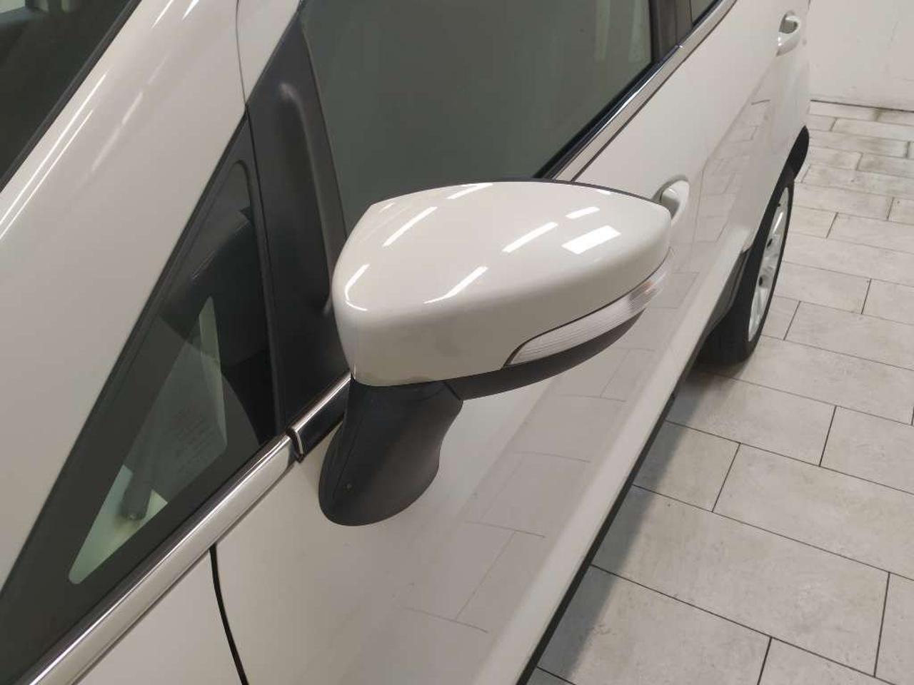 Ford Ford Ecosport usata 12