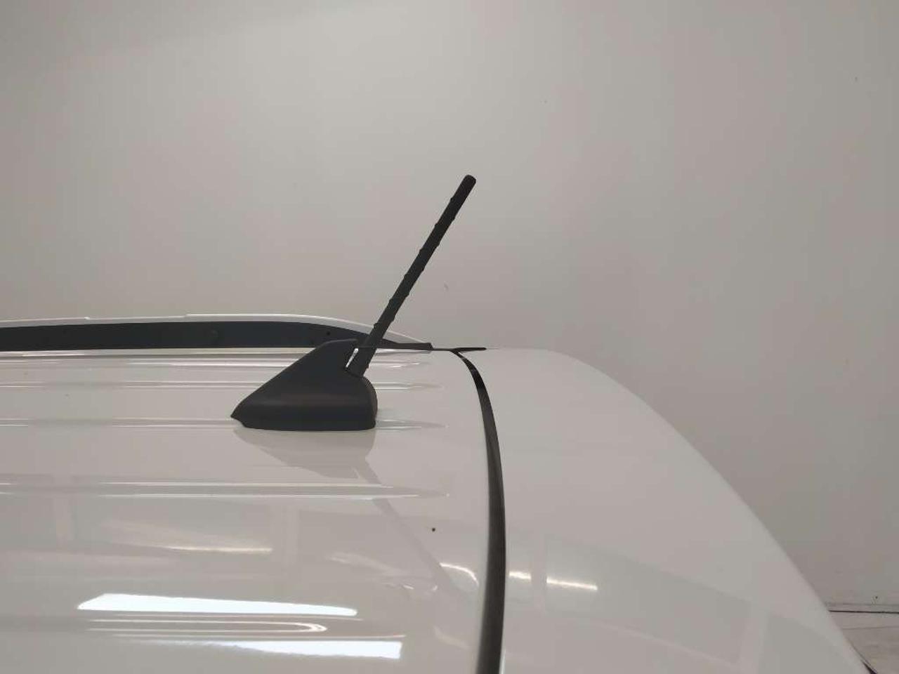 Ford Ford Ecosport usata 14