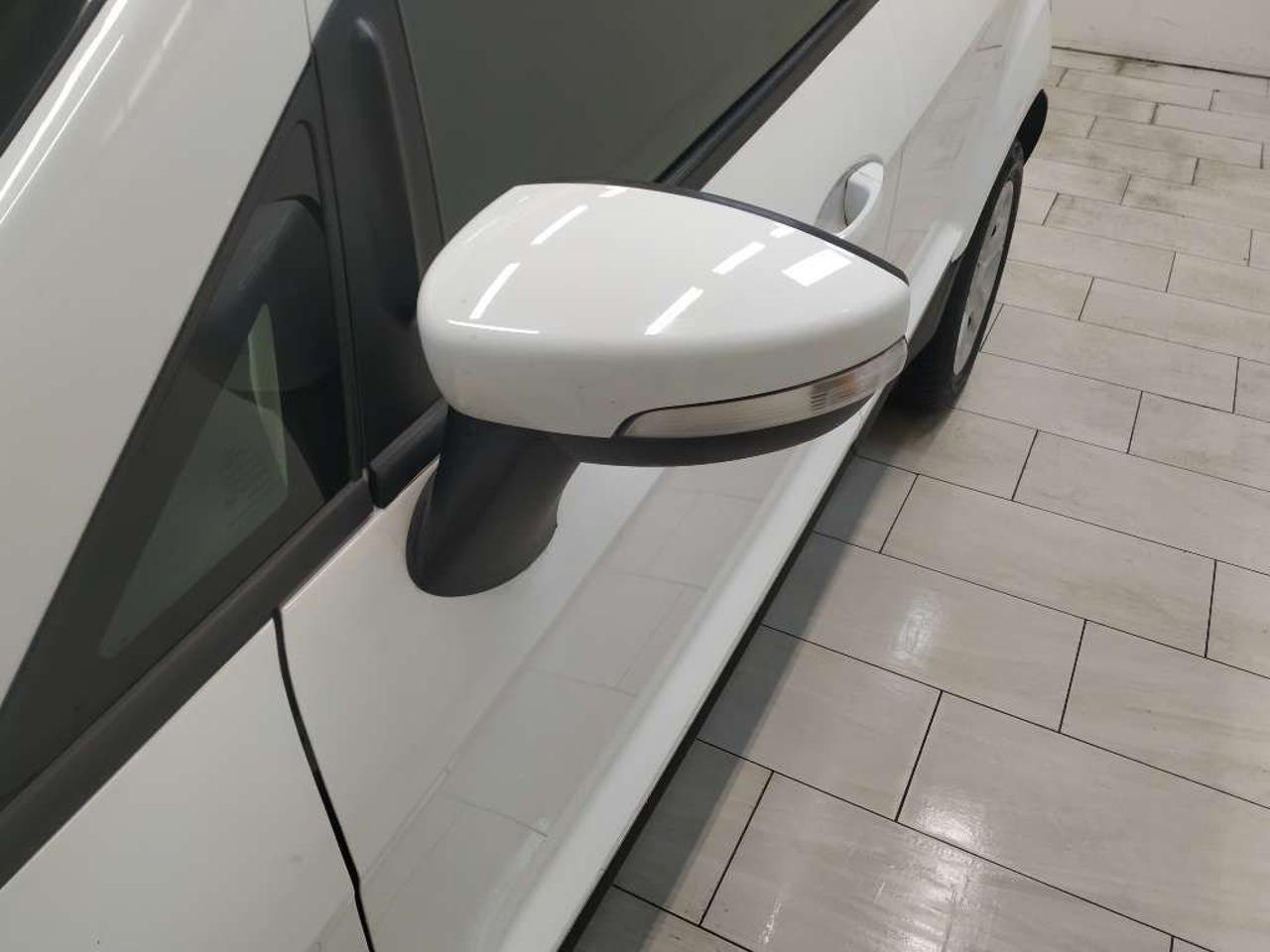 Ford Ford Ecosport usata 13