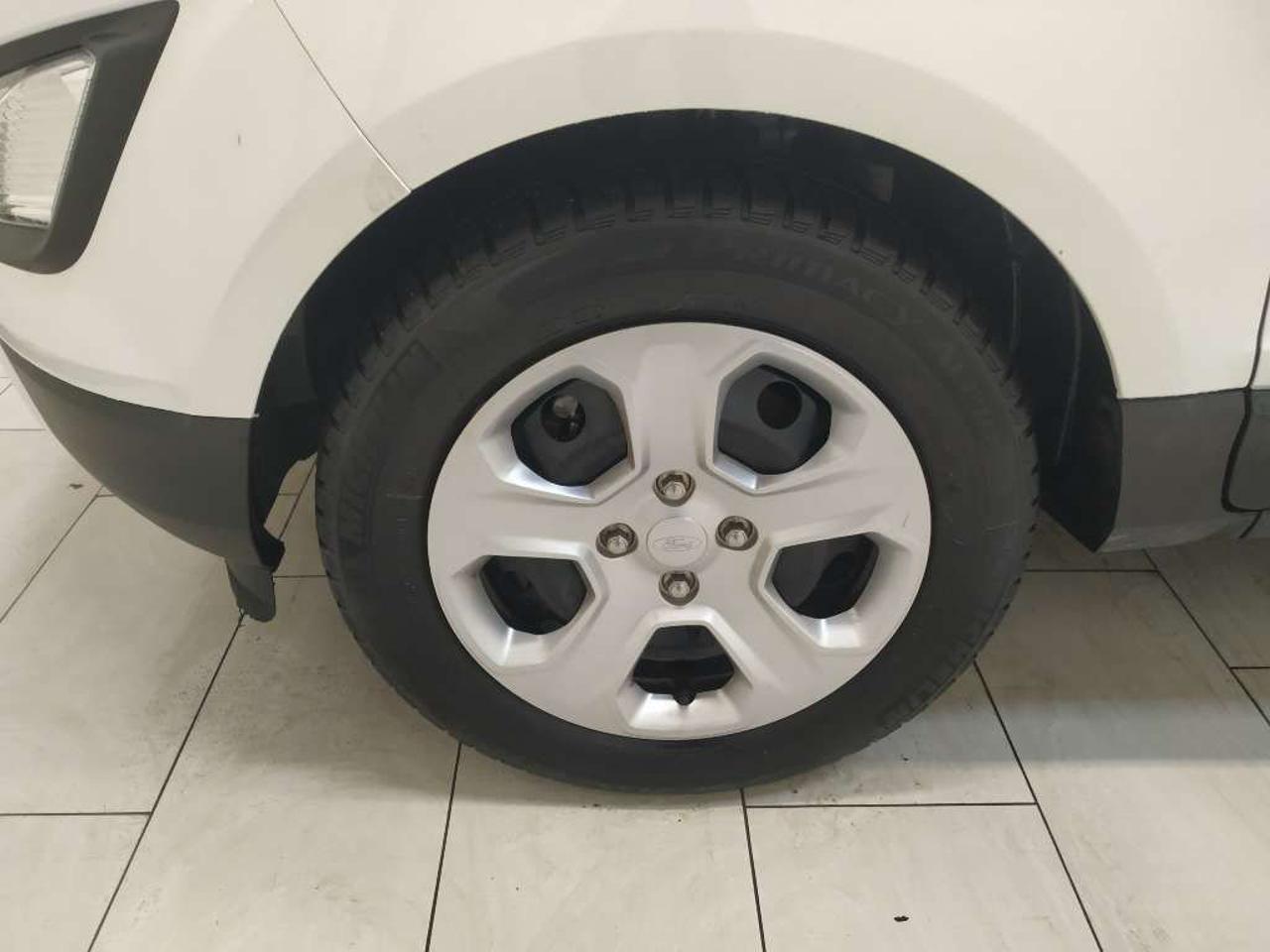 Ford Ford Ecosport usata 14