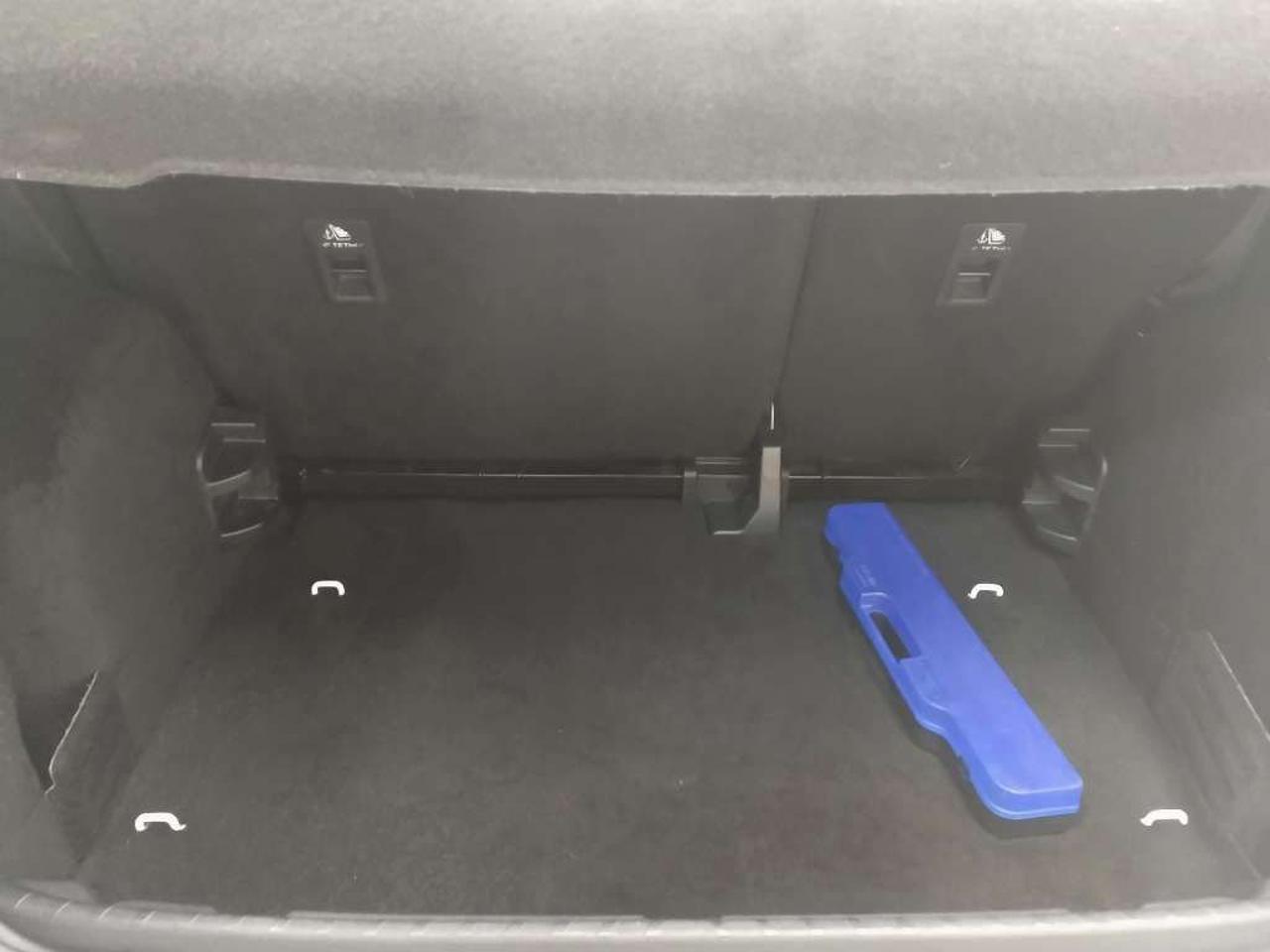 Ford Ford Ecosport usata 12