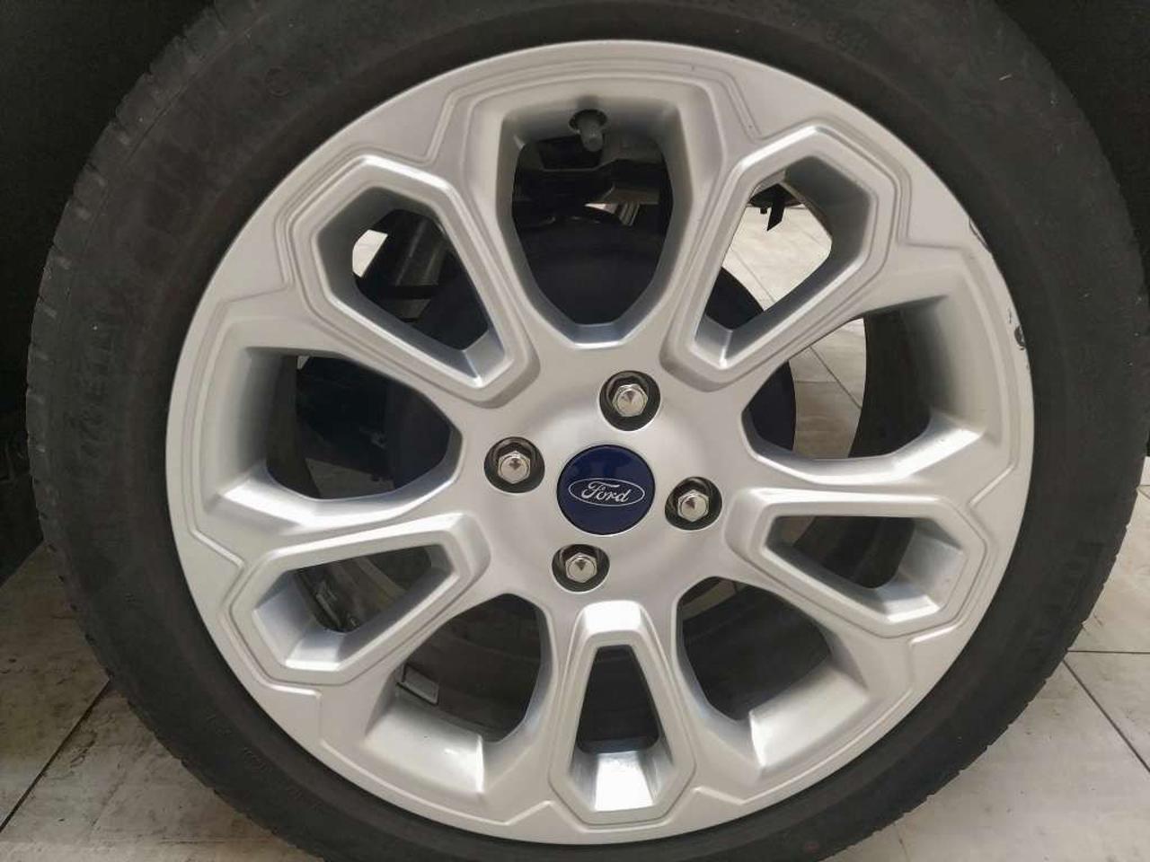 Ford Ford Ecosport usata 14