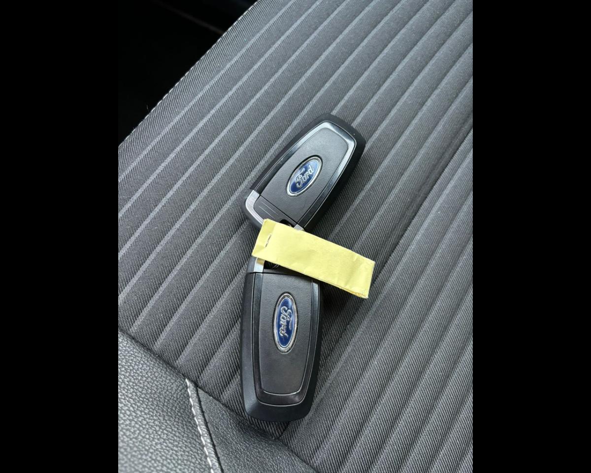 Ford Ford Ecosport usata, con esp