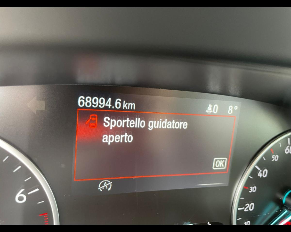 Ford Ford Ecosport usata 9