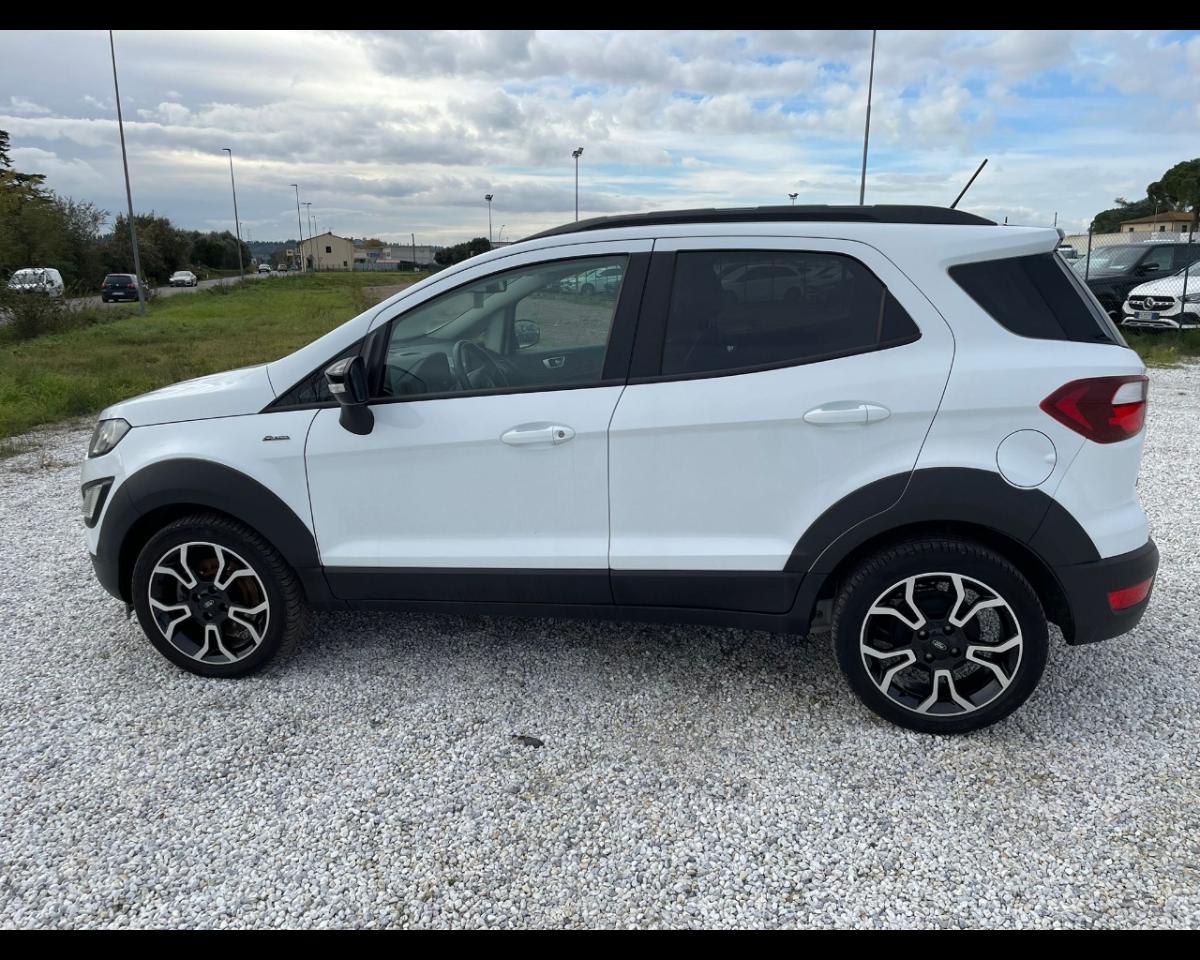 Ford Ford Ecosport usata 15