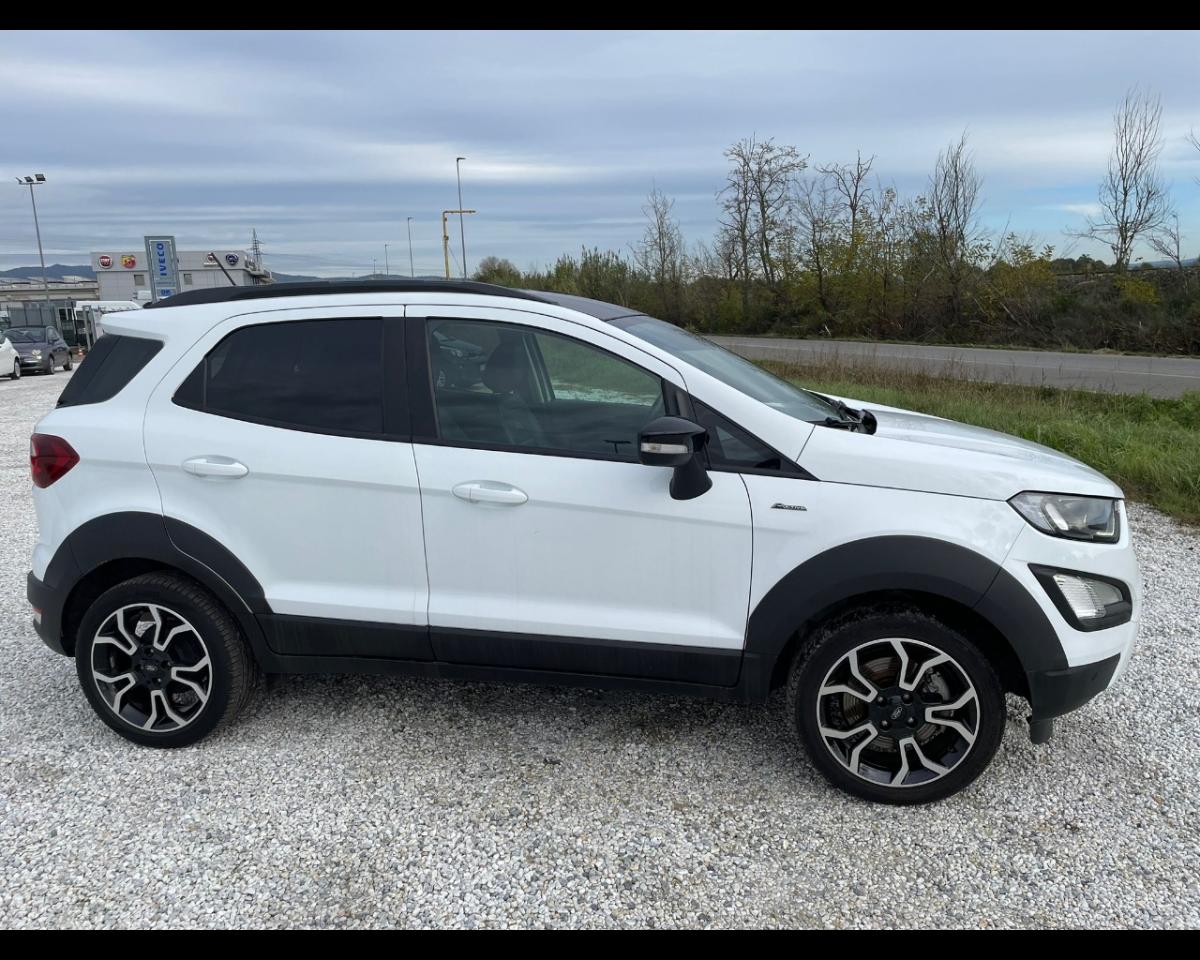 Ford Ford Ecosport usata 16