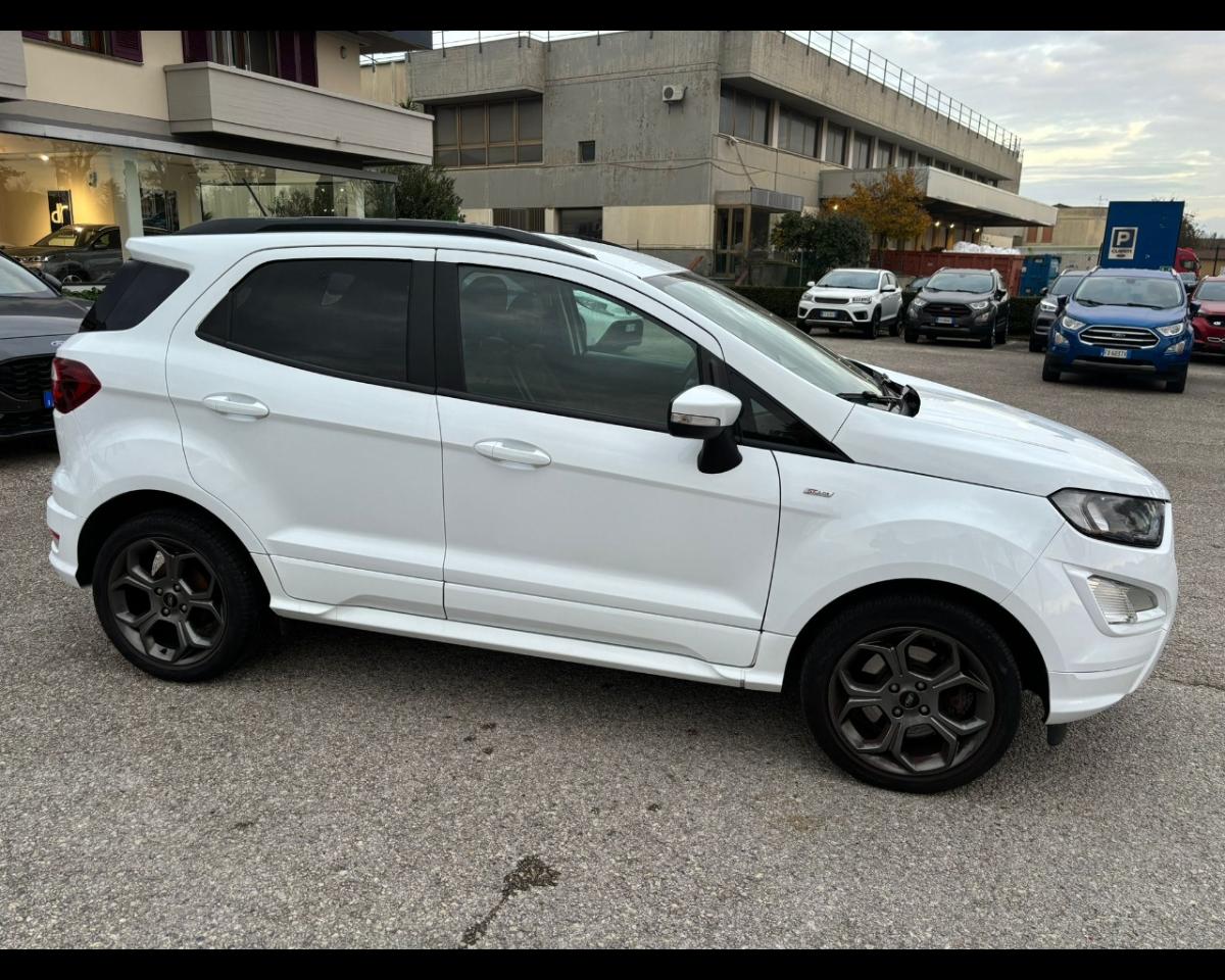 Ford Ford Ecosport usata 15