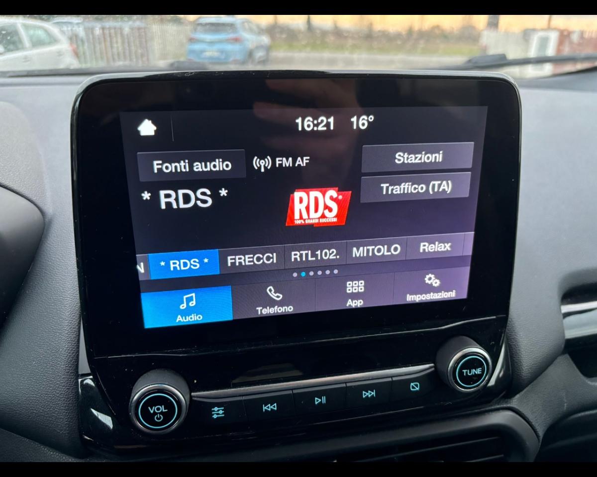 Ford Ford Ecosport usata 19