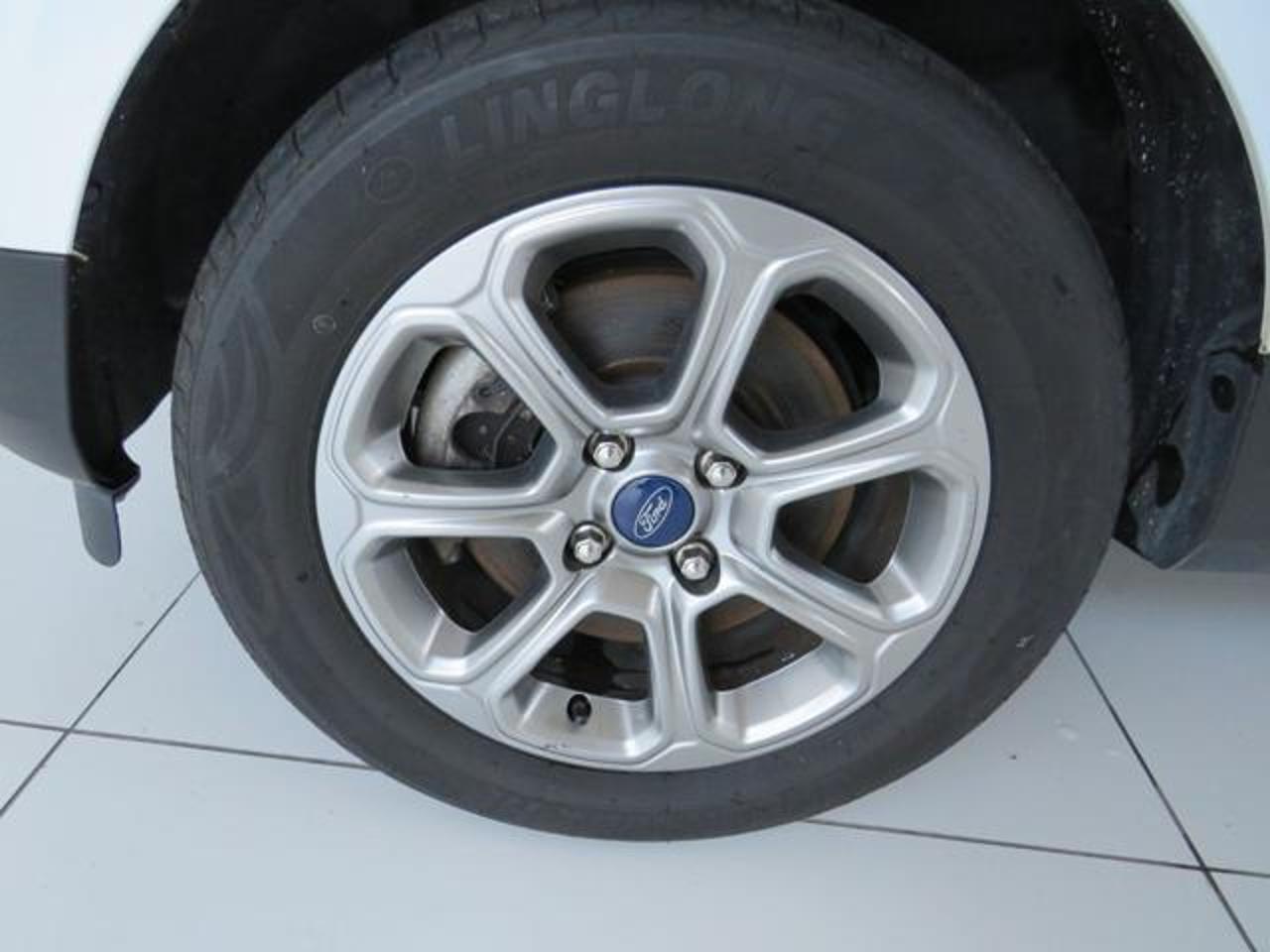 Ford Ford Ecosport usata, con cruise control