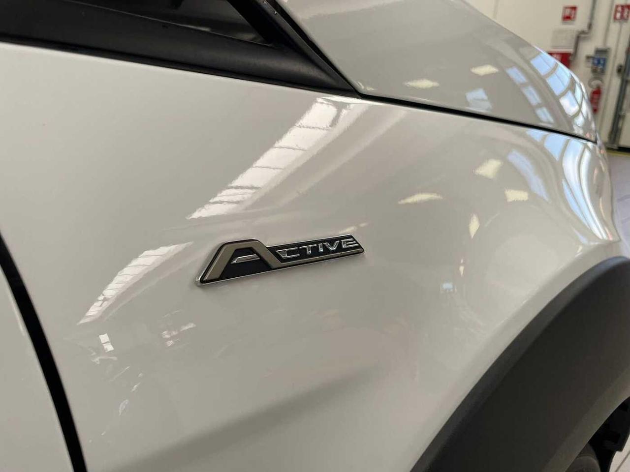 Ford Ford Ecosport usata, con interno grigio