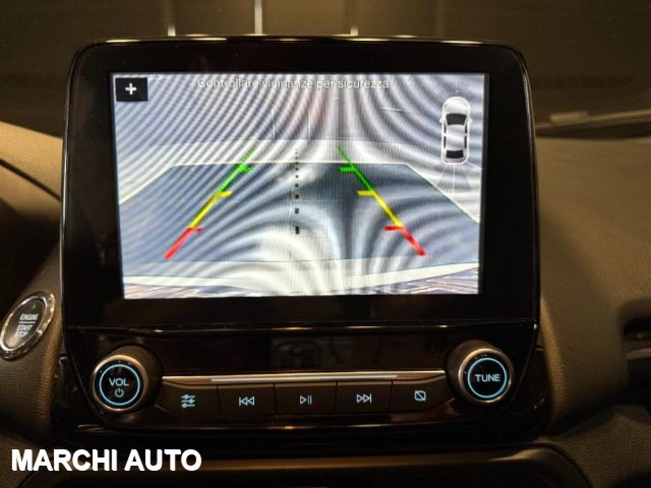 Ford Ford Ecosport usata 12