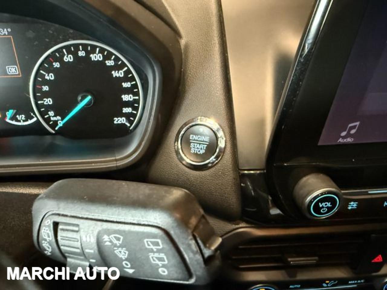 Ford Ford Ecosport usata 16