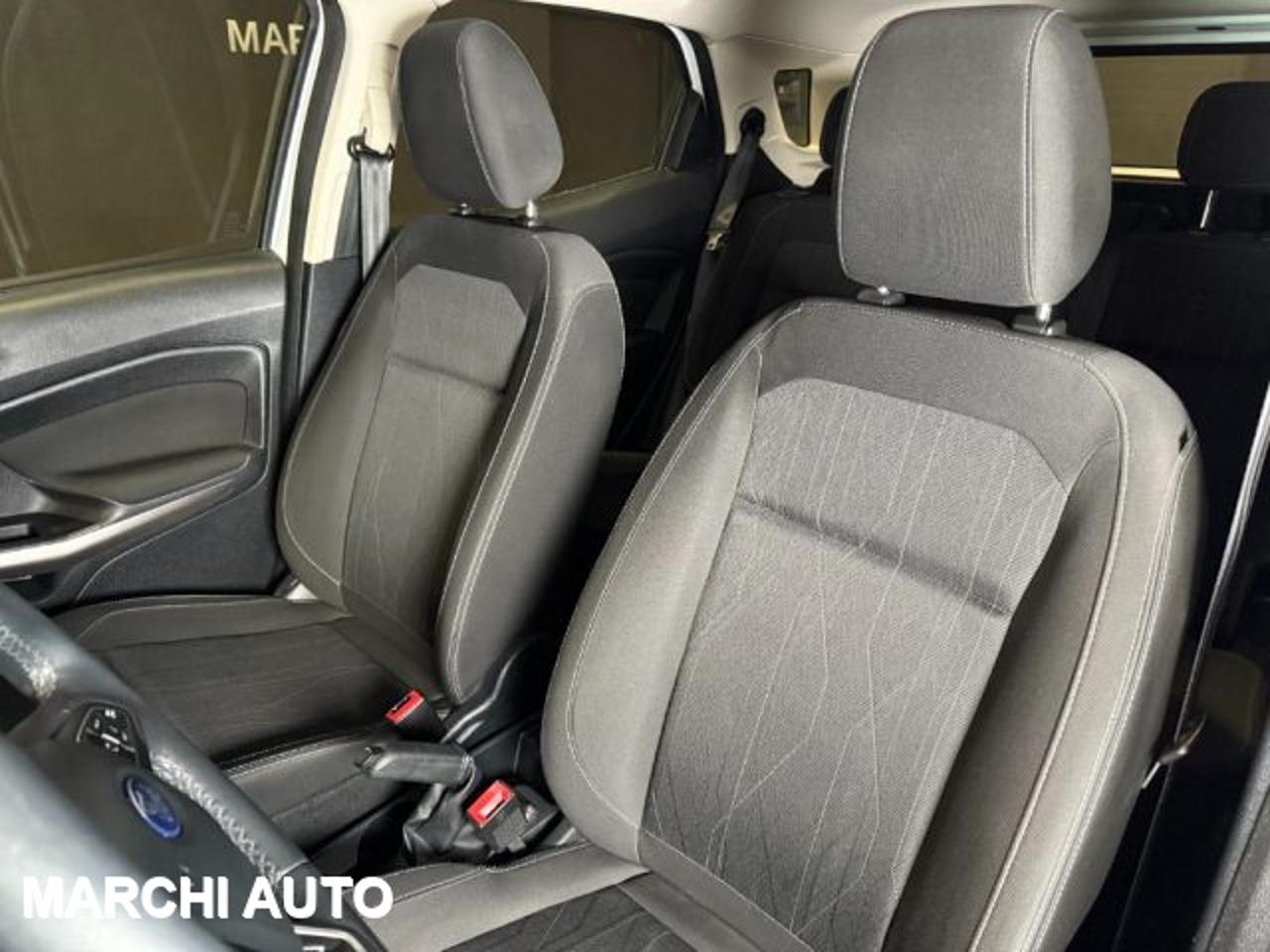 Ford Ford Ecosport usata, con autoradio
