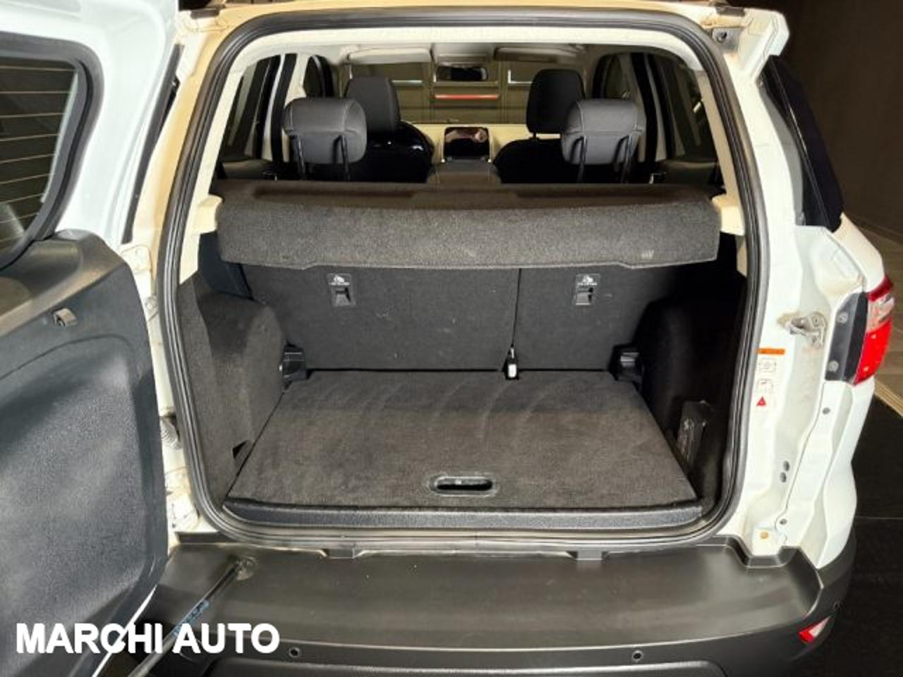 Ford Ford Ecosport usata 14