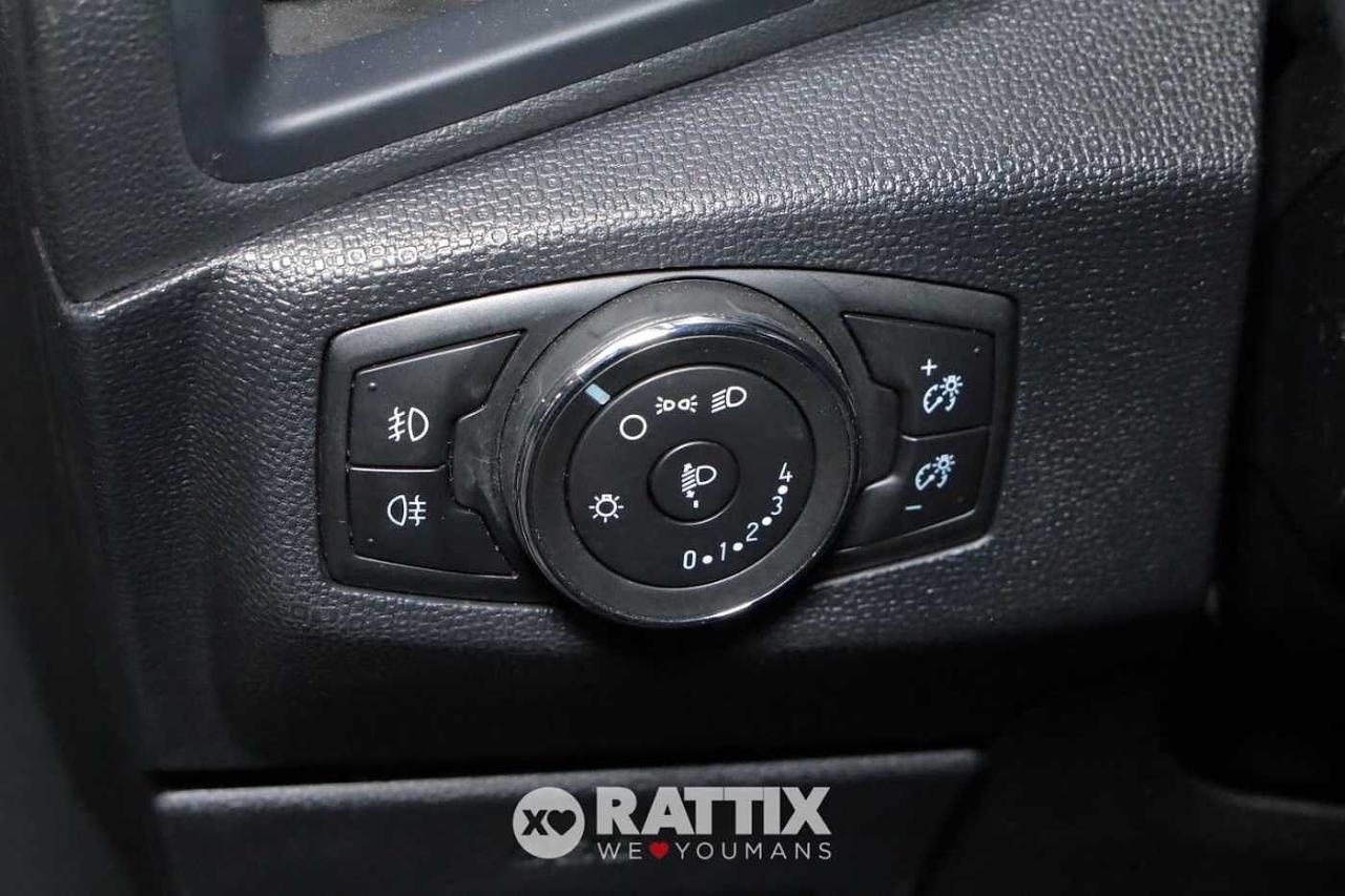 Ford Ford Ecosport usata 5