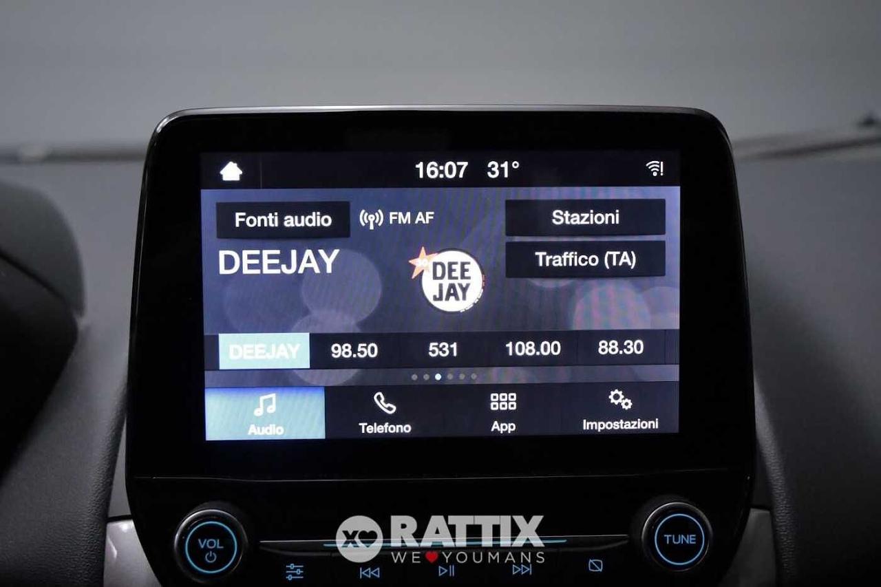 Ford Ford Ecosport usata 13