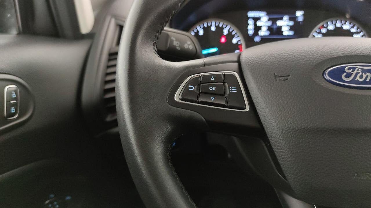 Ford Ford Ecosport usata, con esp