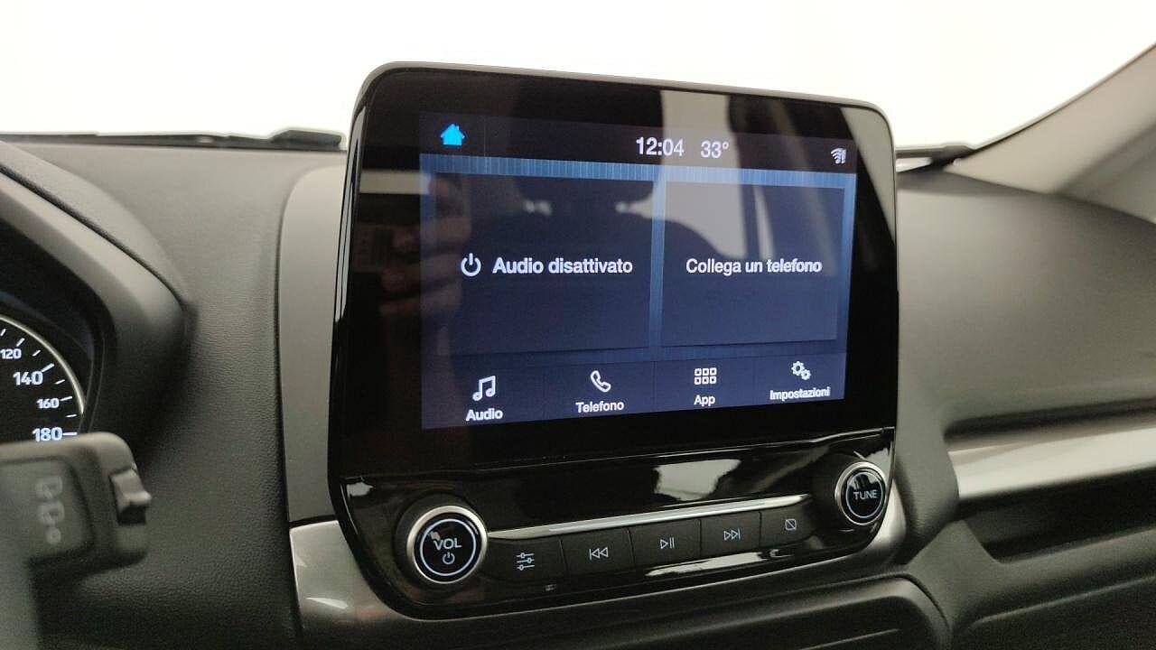 Ford Ford Ecosport usata 13