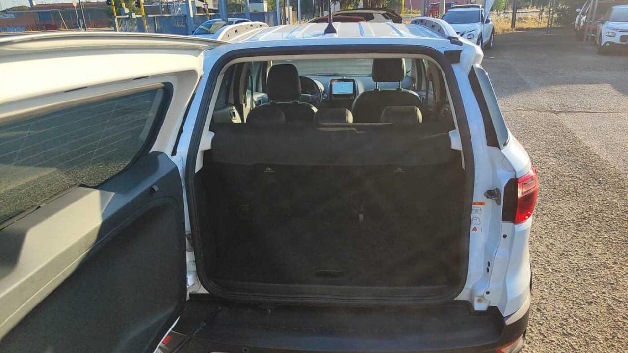 Ford Ford Ecosport usata 28