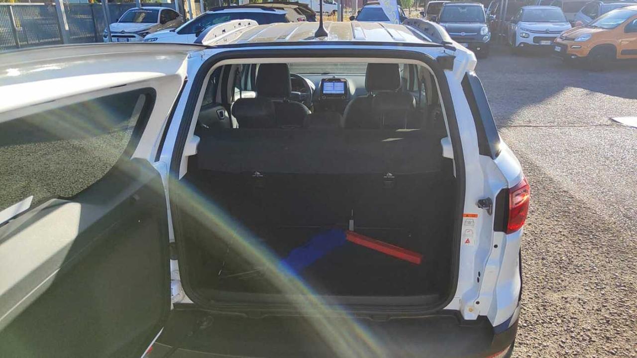 Ford Ford Ecosport usata 28
