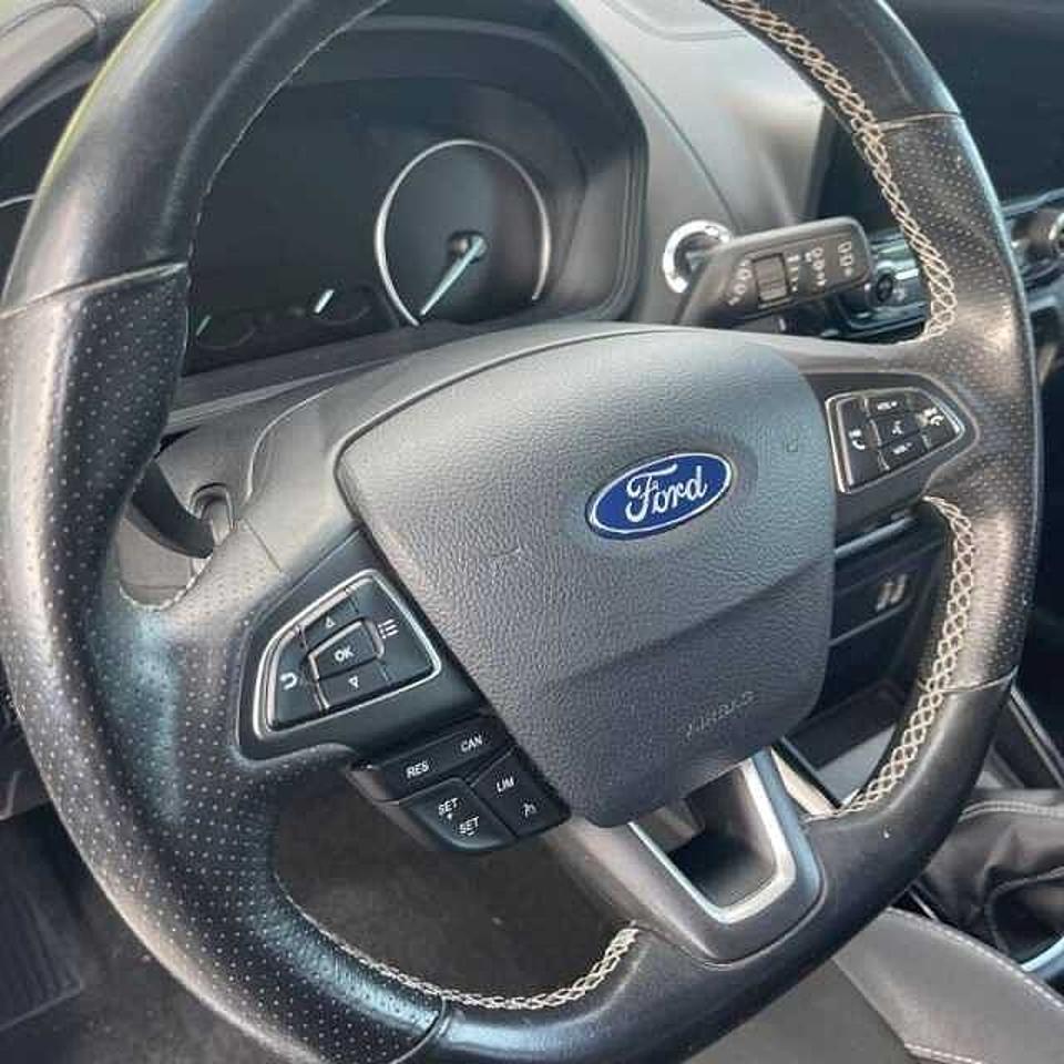 Ford Ford Ecosport usata 5