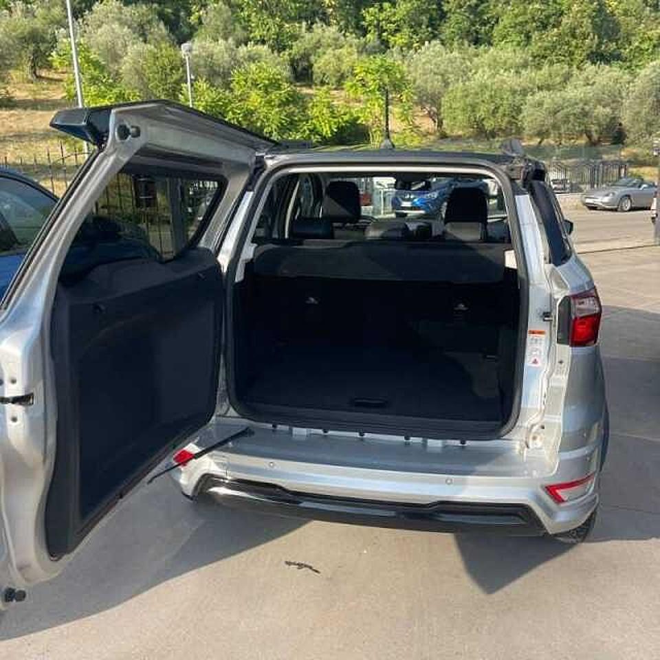 Ford Ford Ecosport usata 12