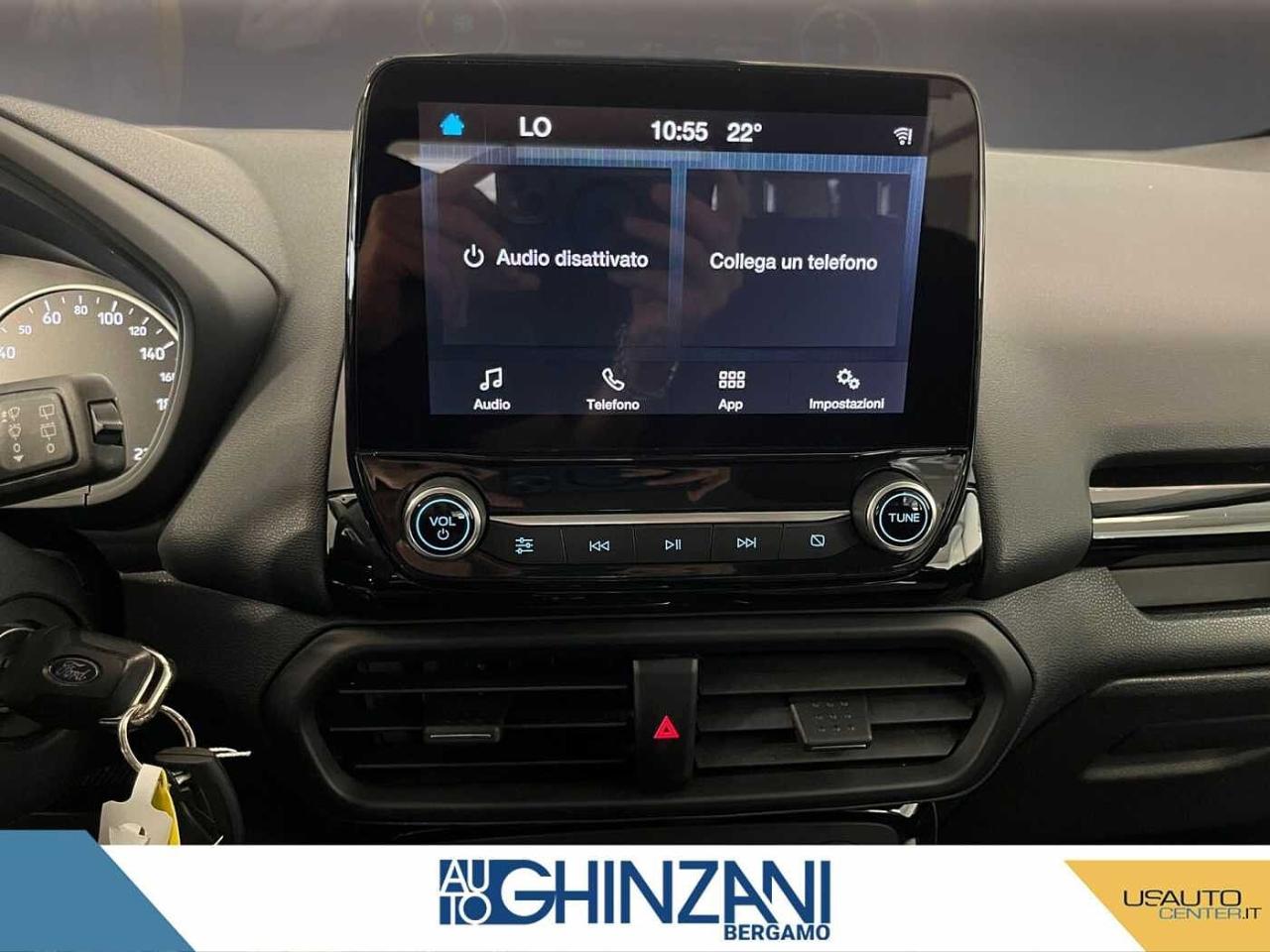 Ford Ford Ecosport usata, con 5 porte
