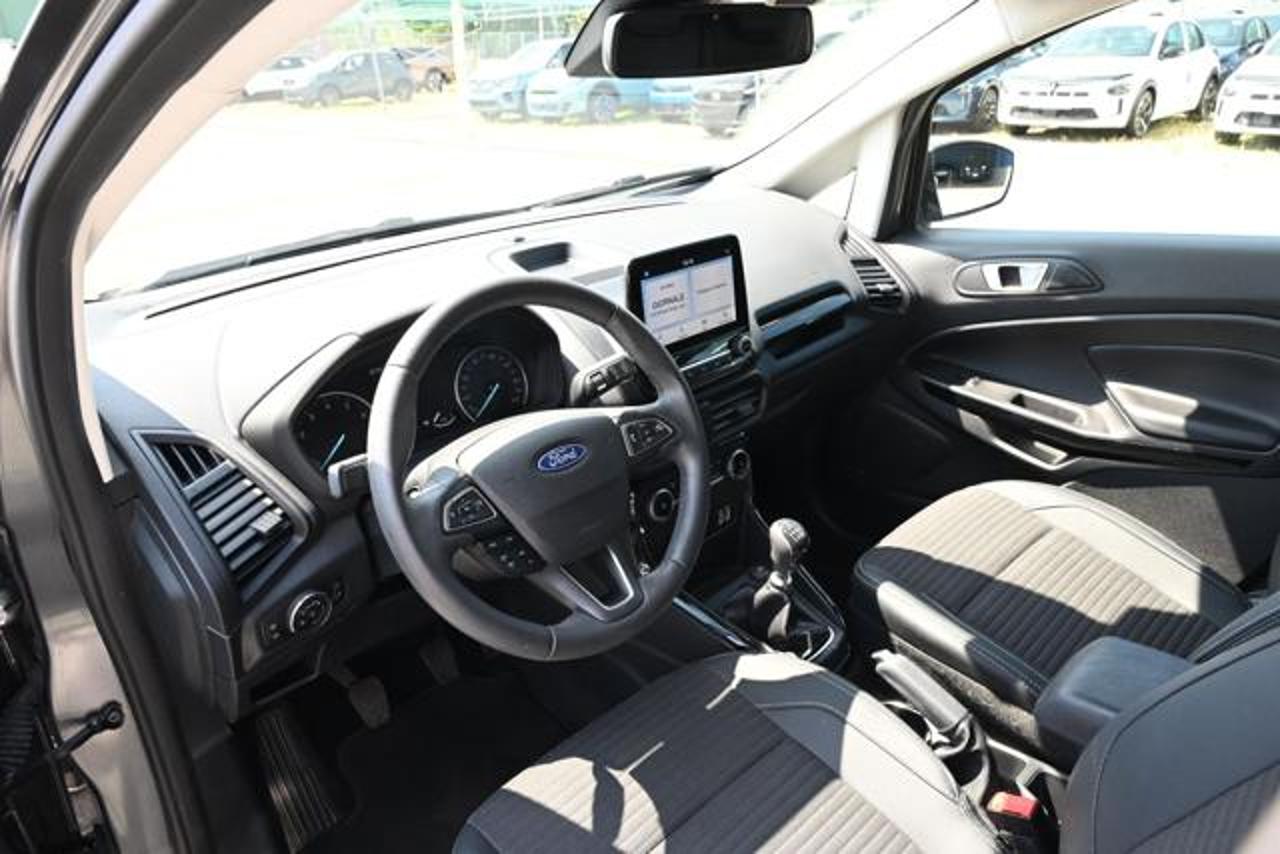 Ford Ford Ecosport usata, con autoradio