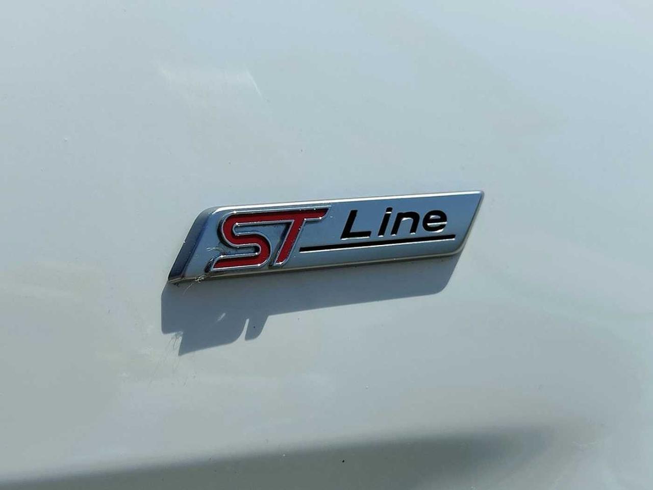 Ford Ford Ecosport usata, con 5 porte