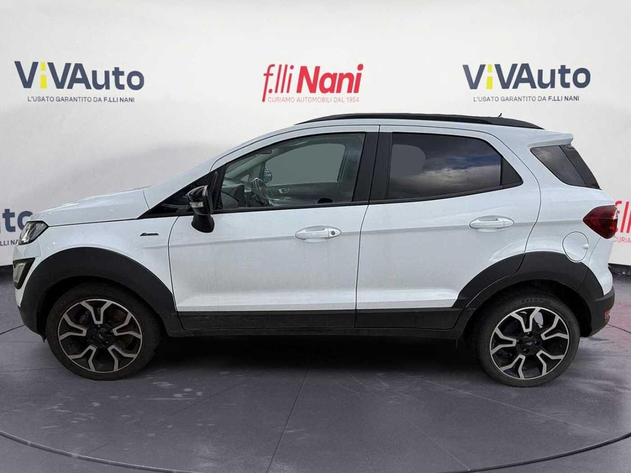 Ford Ford Ecosport usata, con cinture di sicurezza anteriori regolabili in altezza