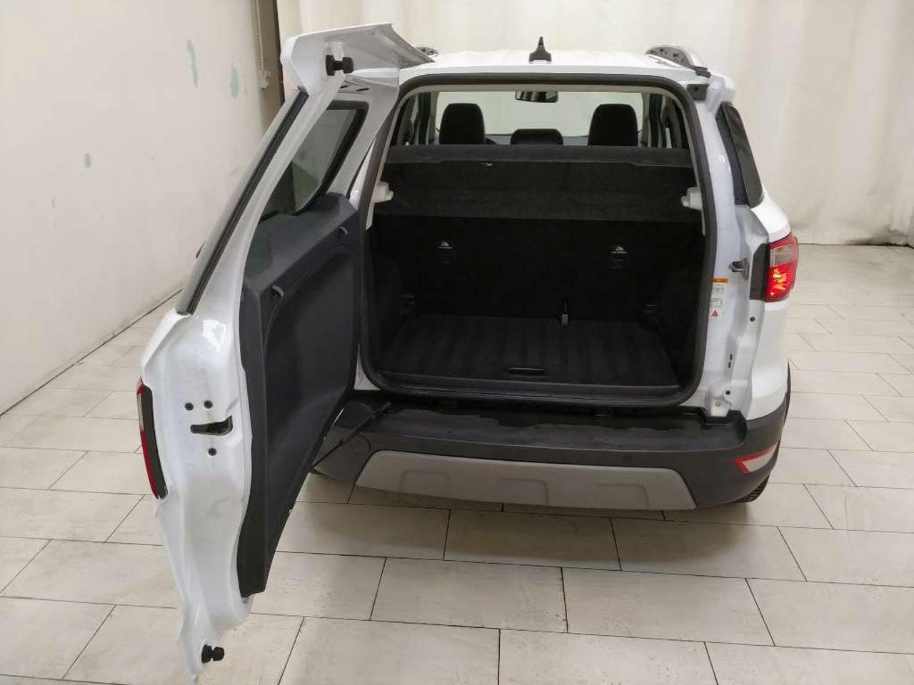 Ford Ford Ecosport usata 14