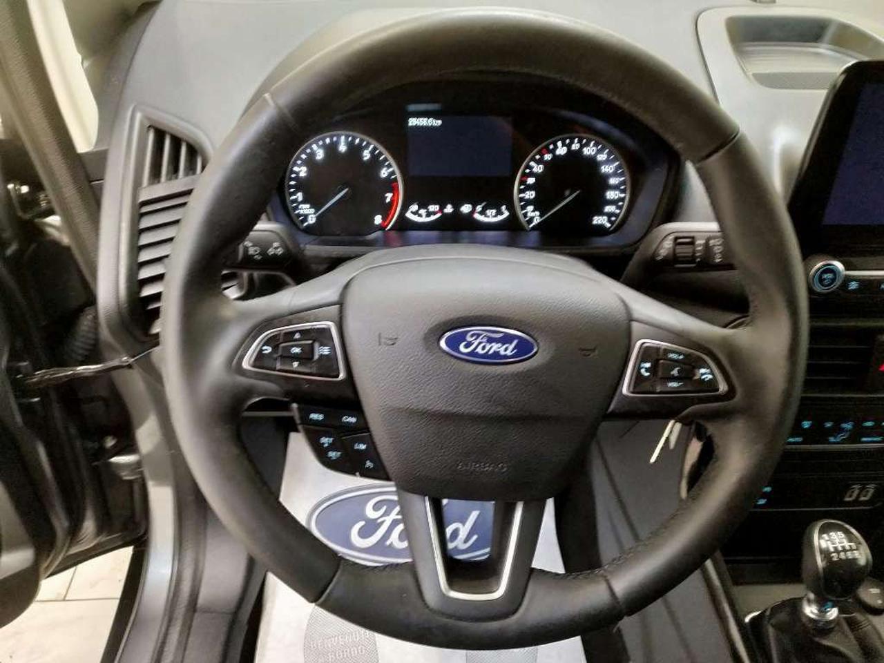 Ford Ford Ecosport usata 2