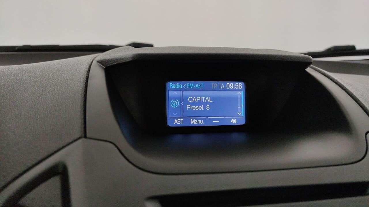 Ford Ford Ecosport usata 13