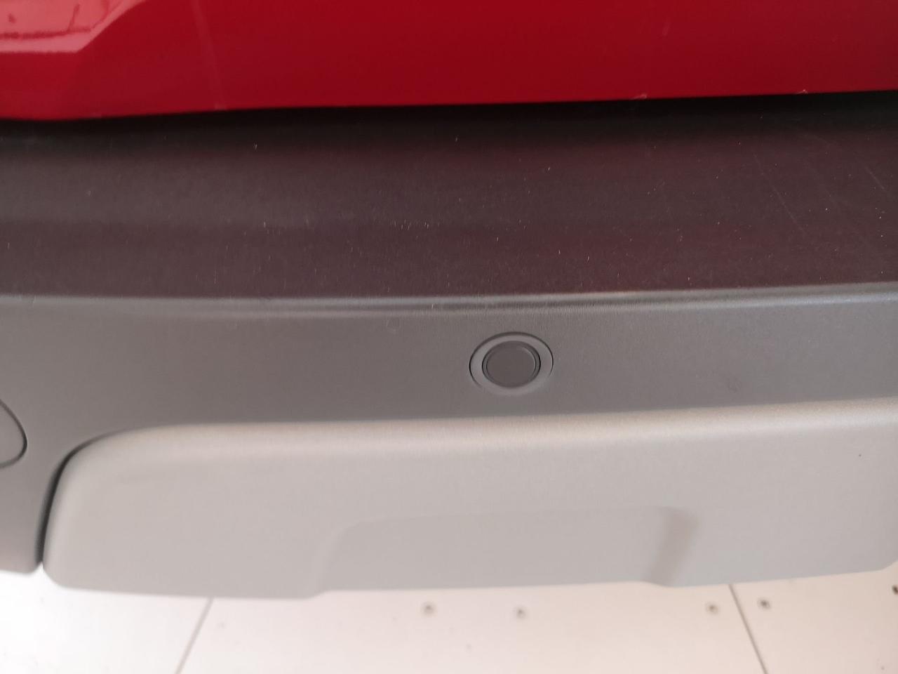 Ford Ford Ecosport usata, con start/stop automatico