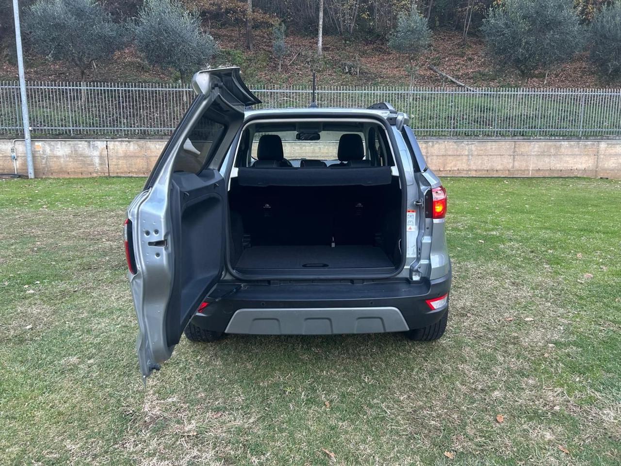 Ford Ford Ecosport usata 4