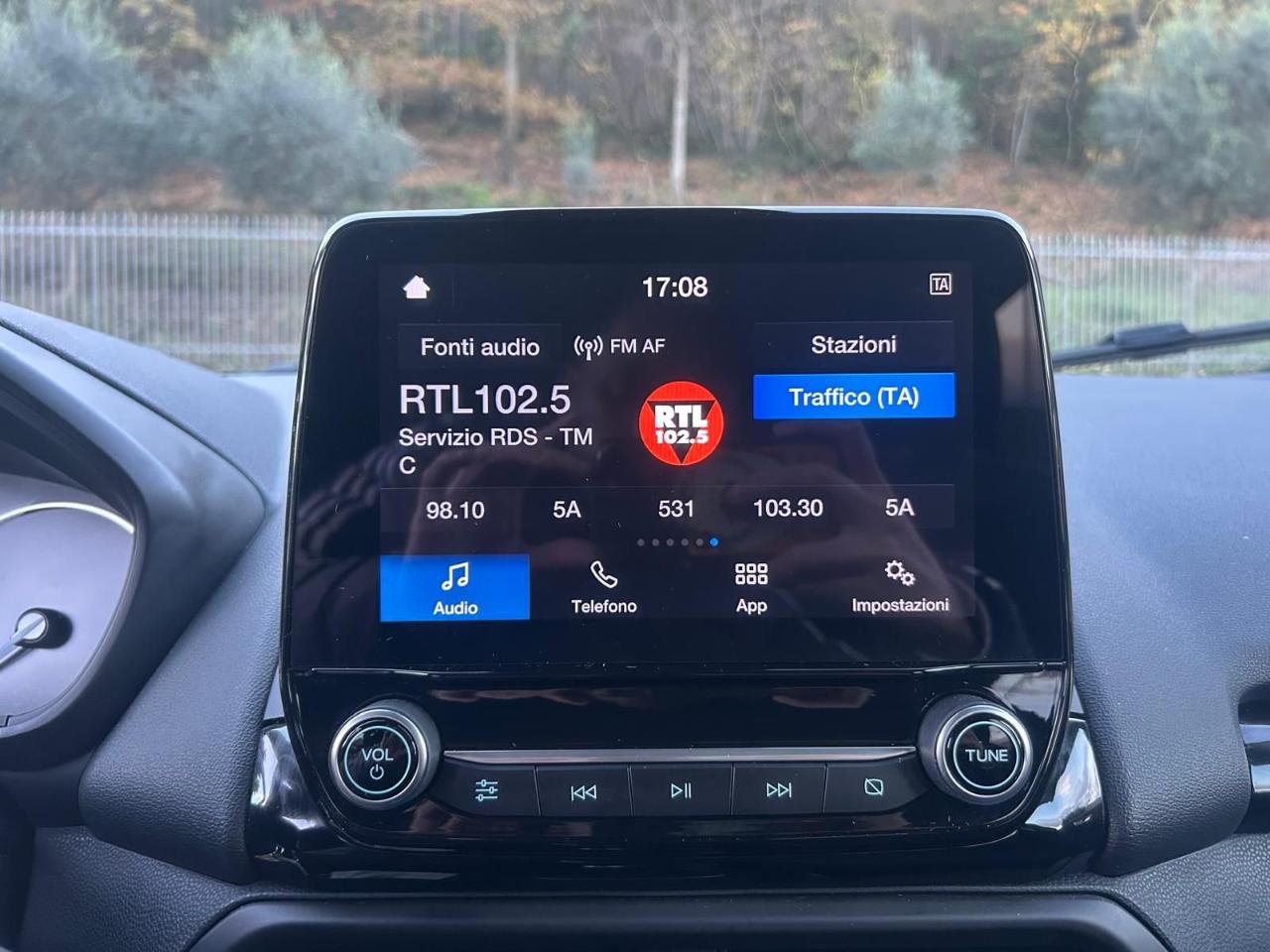 Ford Ford Ecosport usata 14