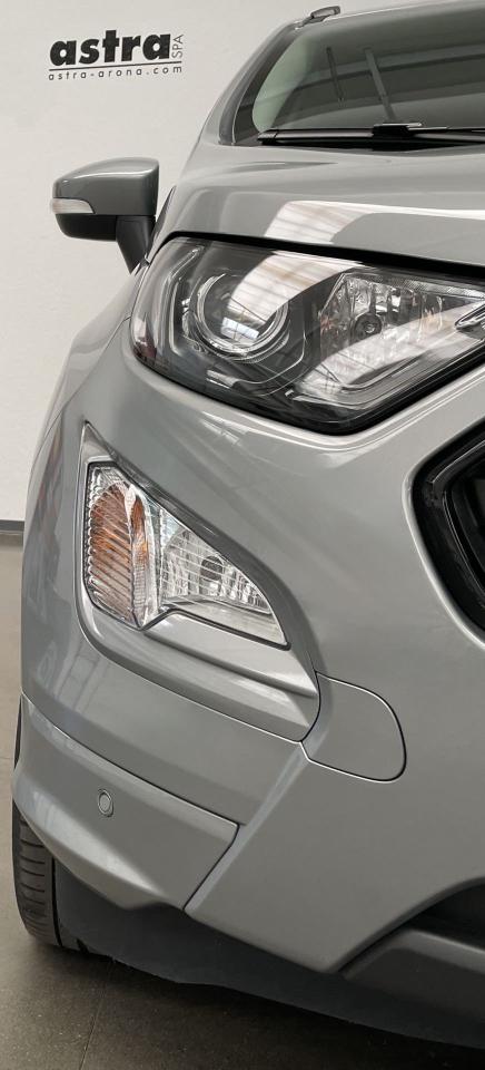 Ford Ford Ecosport usata 13