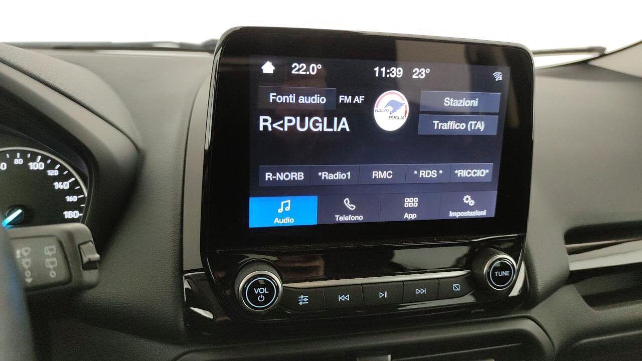 Ford Ford Ecosport usata, con fari fendinebbia