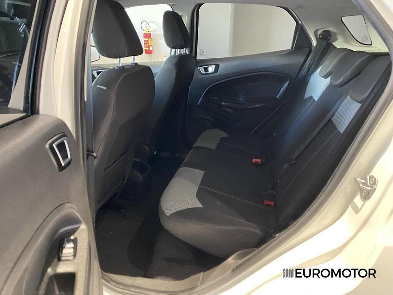 Ford Ford Ecosport usata, con 5 porte
