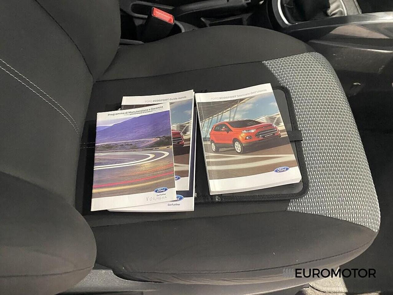 Ford Ford Ecosport usata, con chiusura centralizzata