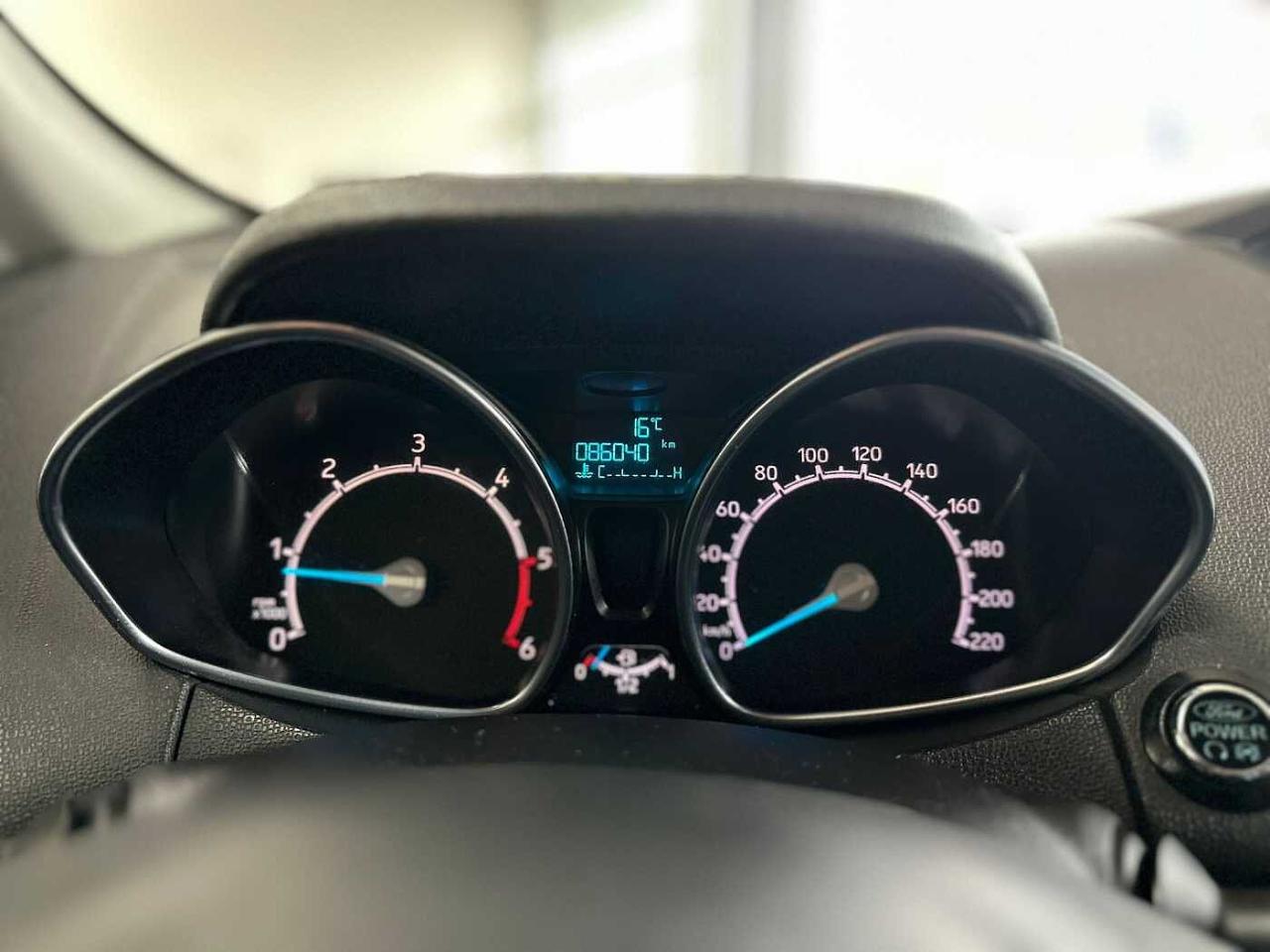 Ford Ford Ecosport usata, con 5 porte